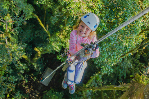 Den ursprungliga Canopy Tour Monteverde