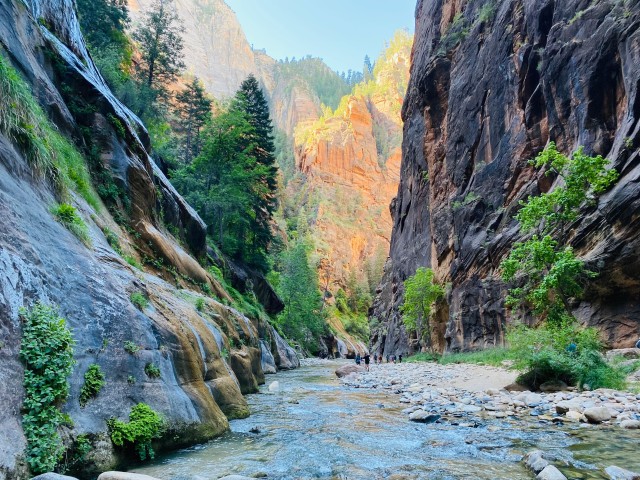 Visit Zion Narrows - Guided Hike and Picnic in Zion National Park