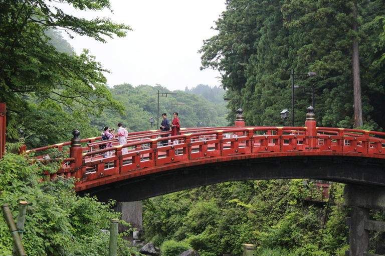 Depuis Tokyo : Excursion touristique d'une journée à Nikko