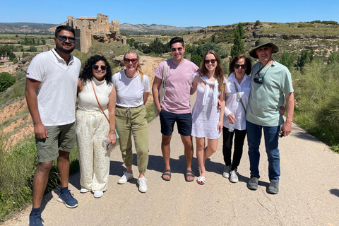 From Madrid: Cooking Class by a Castle in the Olive Groves