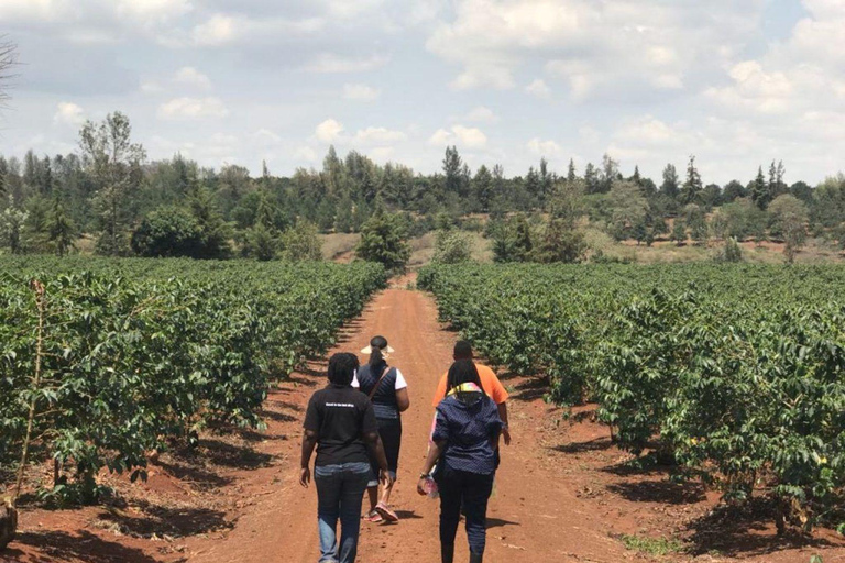 Visite d'une demi-journée d'une ferme de café et d'une usine à Nairobi.