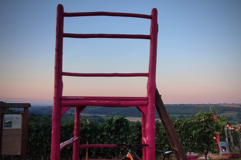 Gavi: E-Bike Tour with Wine Tasting