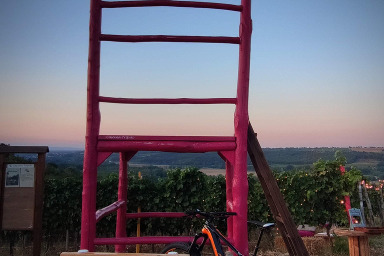 Gavi: E-Bike Tour with Wine Tasting