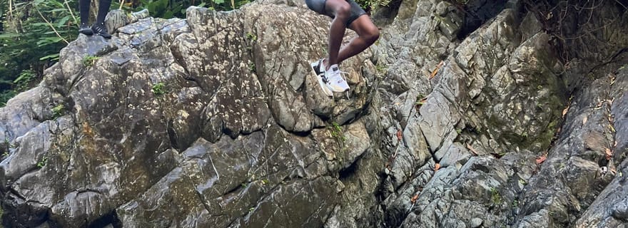 El Yunque Rainforest Célèbre toboggan aquatique, chutes d'eau