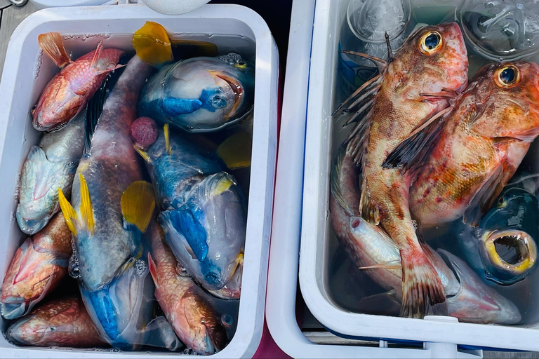 Hobart fishing and diving boat tour