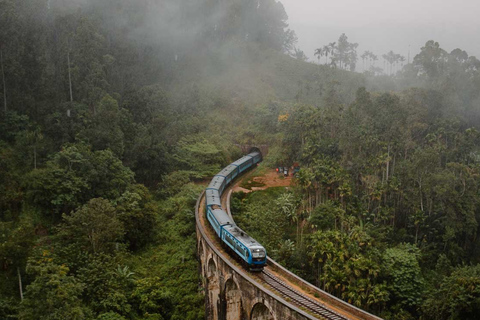 Vanuit Galle/Weligama/Mirissa/Tangalle: Dagtrip naar Ella