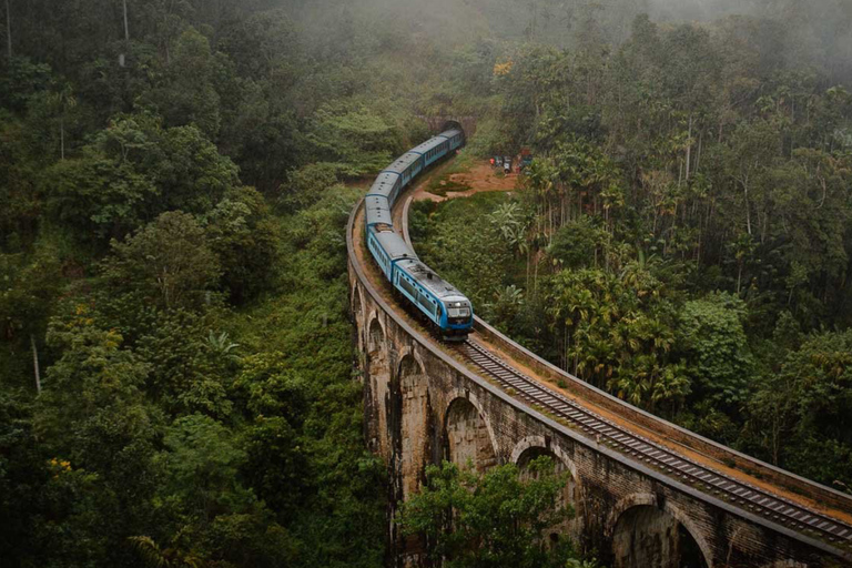 Vanuit Galle/Weligama/Mirissa/Tangalle: Dagtrip naar Ella