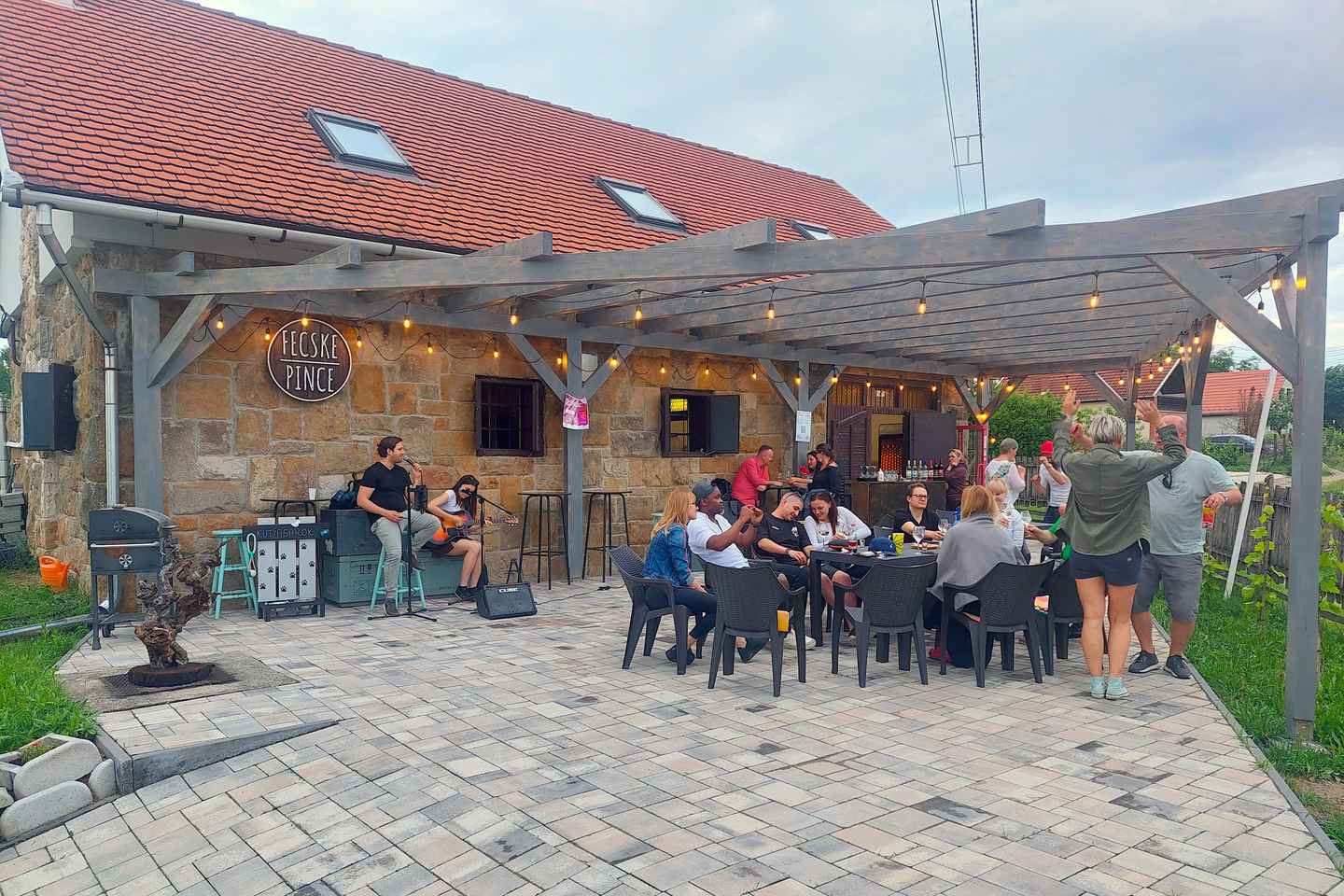 From Budapest: Half-day Monor wine tour with meal