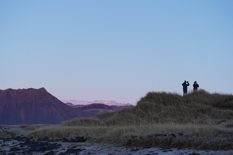 Reykjavik: Solar Eclipse Tour Snæfellsnes