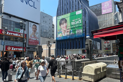 Osaka: tour privato di Kyoto e Nara con servizio di pick-up in hotel