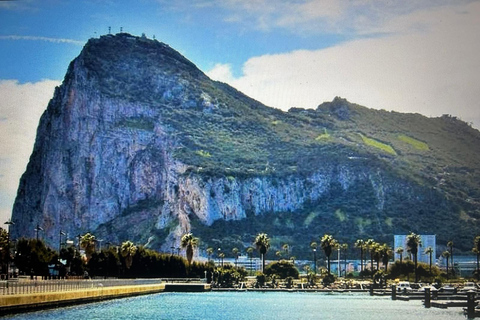 ab La Cala/Marbella/Estepona: Gibraltour-Tour mit Affenfelsen und Shopping