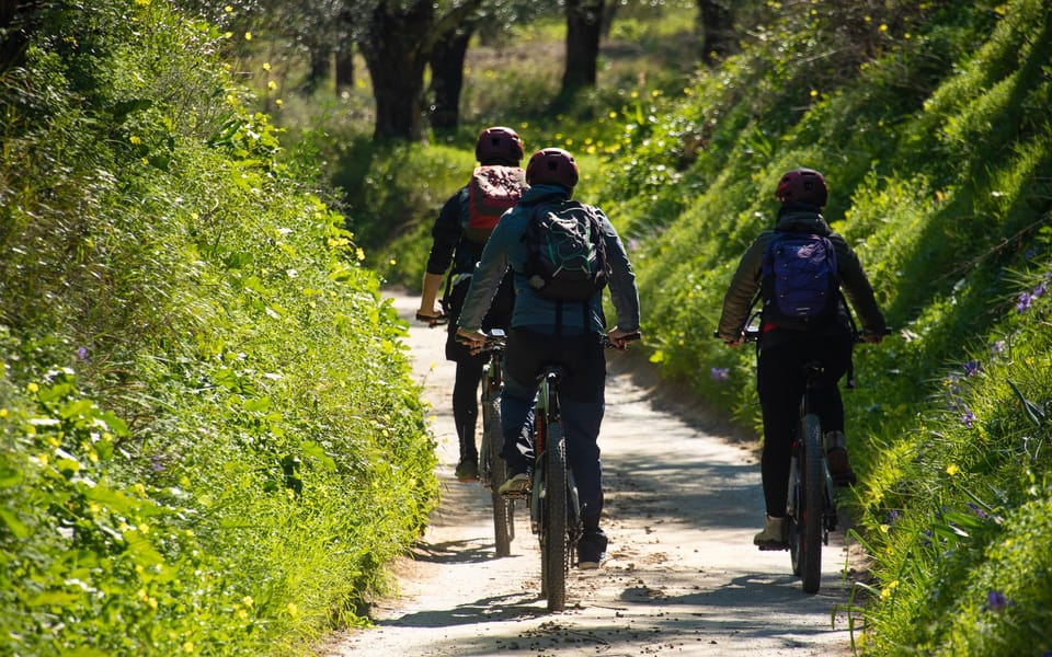 Kalamata Olive Grove EBike Tour with Picnic Lunch GetYourGuide