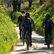 Kalamata: Olive Grove E-Mountain Bike Tour with Picnic Lunch | GetYourGuide