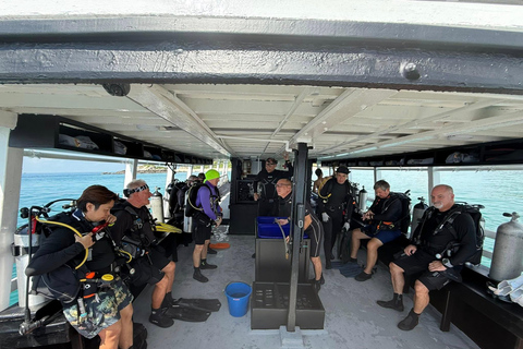 Pattaya: Fun dives in Pattaya and Samaesarn with transfer 3 Dives