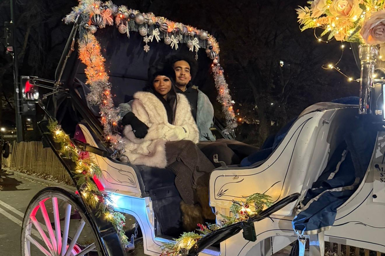 NYC: Central Park Christmas Lights Horse-Drawn Carriage Ride