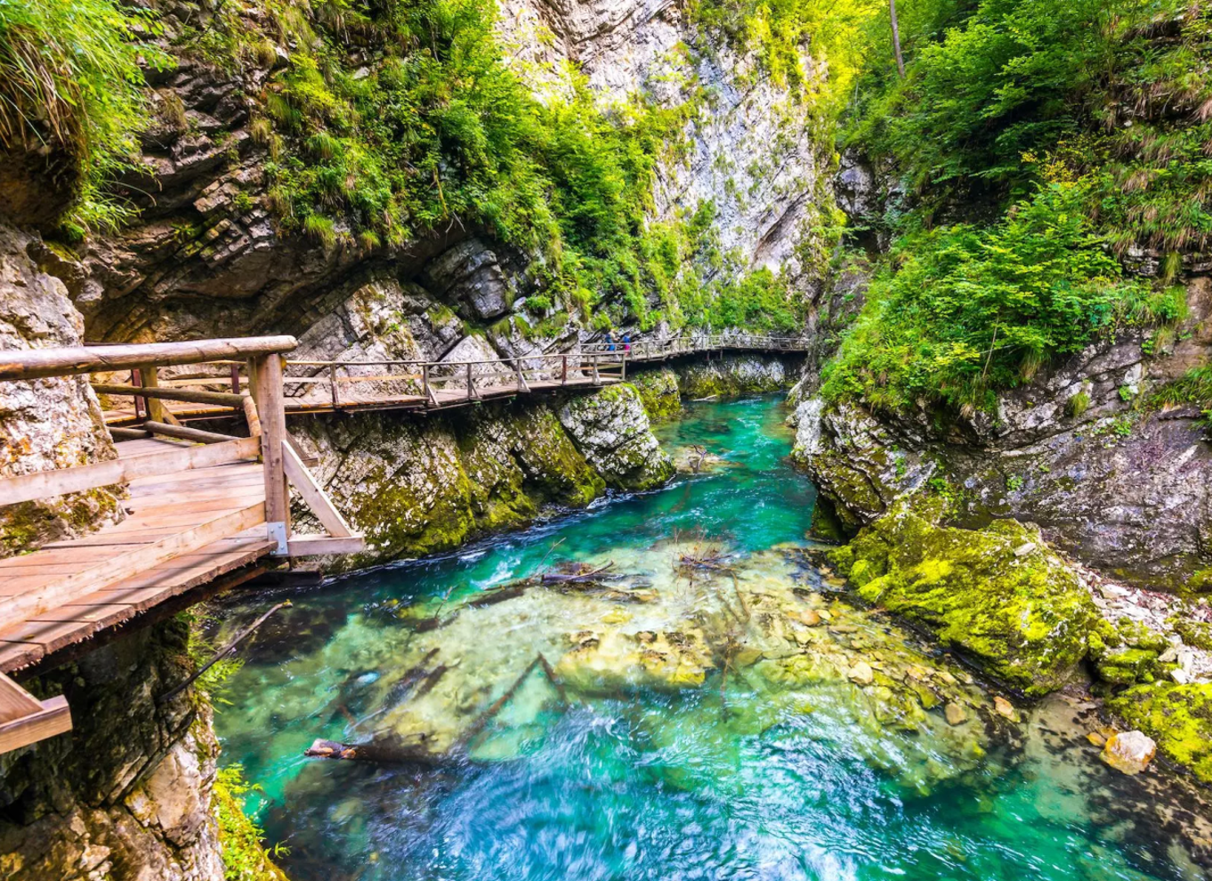 Bled: Vintgar Gorge bedste oplevelse og madsmagning