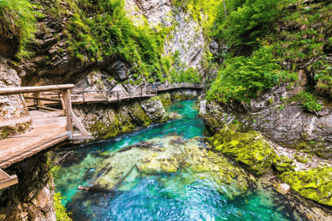 Depuis Bled : Excursion d&#039;une journée dans le parc national du Triglav