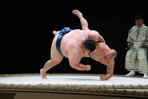 The BEST Osaka Sumo experiences 2024 - FREE Cancellation | GetYourGuide