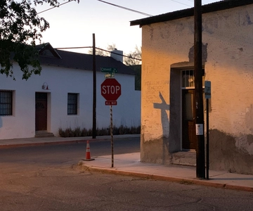 Barrio Viejo Tucson Walking Tour & Scott Avenue with Guide