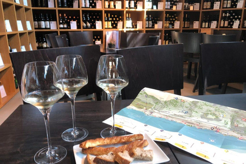 日内瓦：拉沃、谢布雷与瓦莱州品酒之旅日内瓦：拉沃、谢克斯布雷与瓦莱州品酒之旅