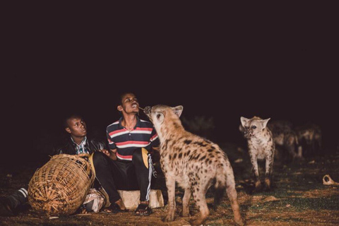 Harar: 2-Day Guided City Tour with Hyena Feeding Ritual