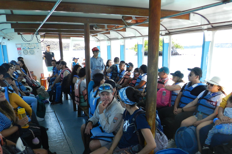 Galapagos Islands - Santa Cruz - 4 days all inclusive ENGLISH GUIDE Santa Cruz - 4 days all inclusive GALAPAGOS ISLANDS