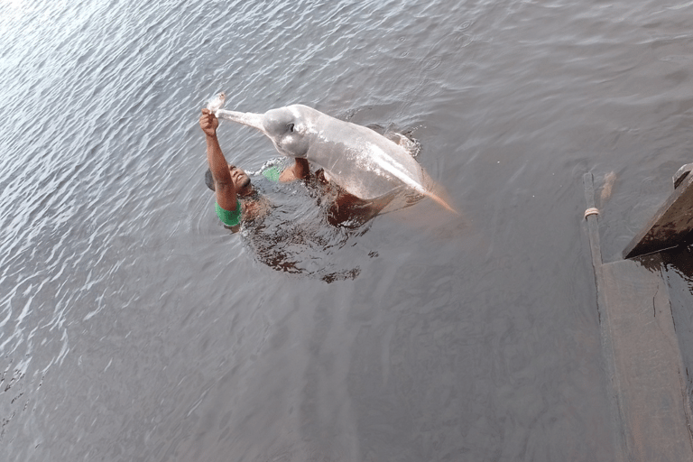 Shared Tour Speedboat Ride on the Rio Negro