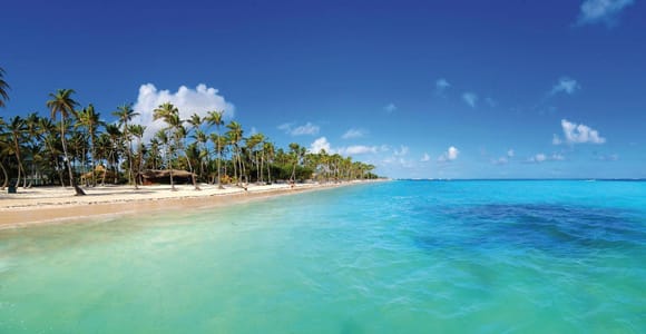 Punta Cana: Catalina Island Beach and Open bar
