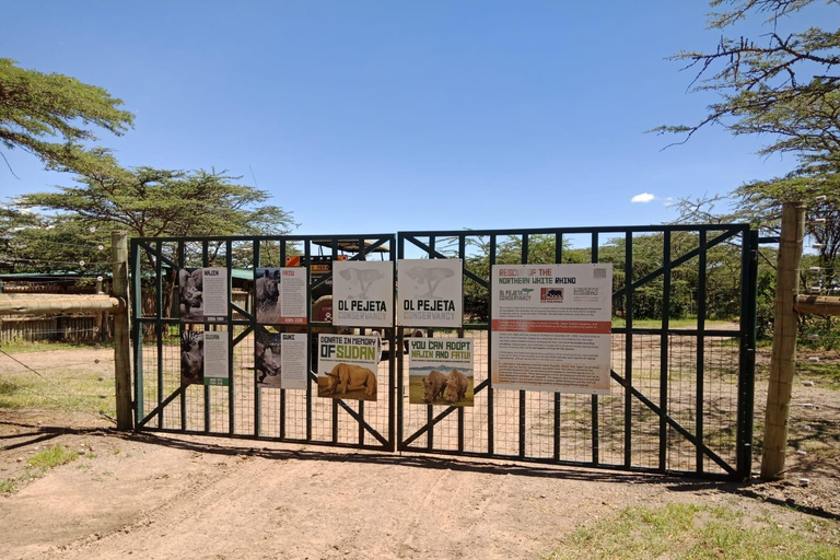 2-Day Ol Pejeta Safari with Chimps & Big Five