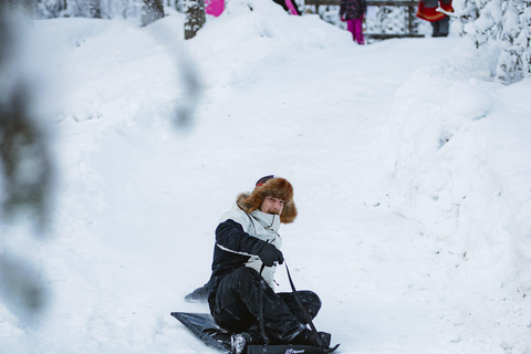 Levi：Arcandia，精灵法庭/日光和公园/黑暗精灵法庭：3 小时体验和公园之旅