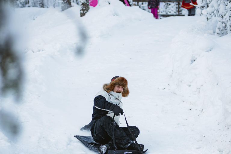 Levi：Arcandia，精灵法庭/日光和公园/黑暗精灵法庭：3 小时体验和公园之旅