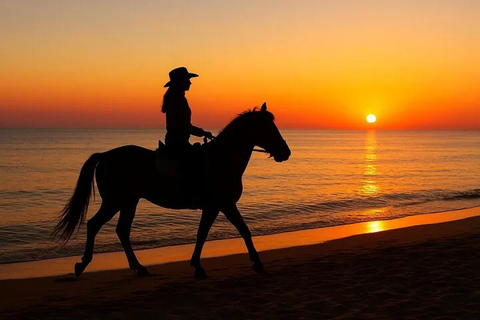 Hurghada: 1 HR Red Sea Swimming with Horses with Transfers Exclusive Family Package – 1 HR with Swimming & Transfers
