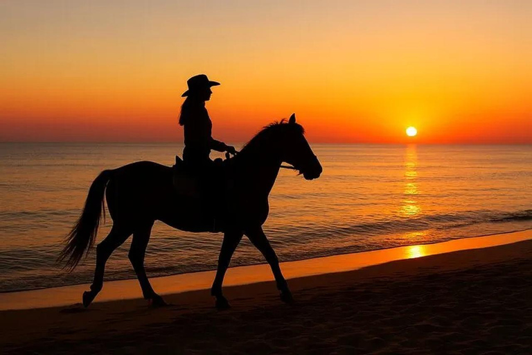 Hurghada: 1 HR Red Sea Swimming with Horses with Transfers Exclusive Family Package – 1 HR with Swimming & Transfers