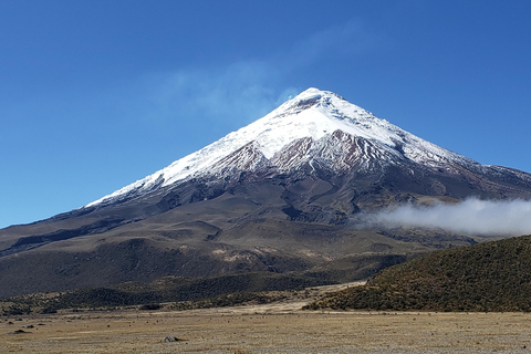 From Quito: Private Andes Tour to Cotopaxi & Quilotoa Lagoon