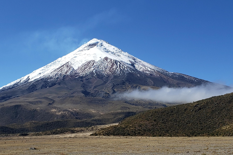 From Quito: Private Andes Tour to Cotopaxi & Quilotoa Lagoon