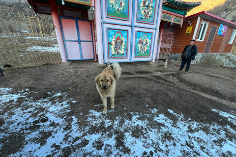 Winter tour: 2-Day Khustai &amp; Terelj National Park Tour