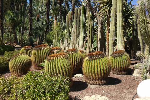 Från Alicante: Tur till den nationella botaniska trädgården