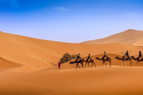Marrakesh: Sahara Desert Tour From Marrakech 3D2N & Glamping Private Luxury Tour