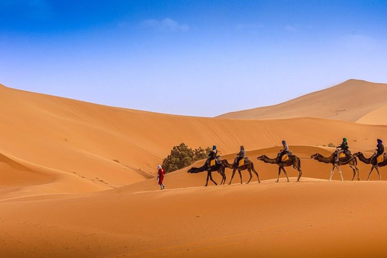 Marrakesh: Sahara Desert Tour From Marrakech 3D2N & Glamping Private Luxury Tour