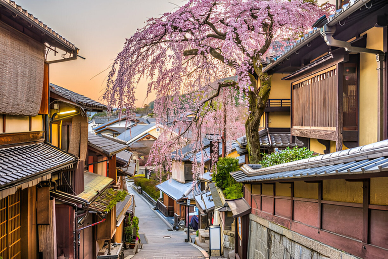 Tour privato di gruppo di Kyoto con il massimo delle attrazioni