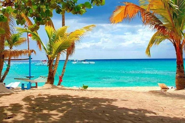 Ekskluzywna wycieczka na wyspę Catalina z transportem i obiadem w cenie