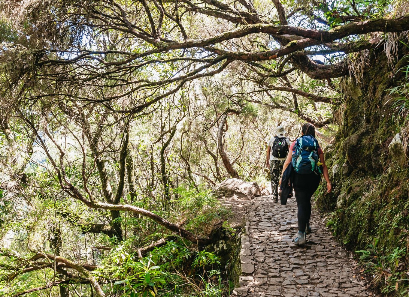 Madeira: Nyd en guidet gåtur i Levada i Rabaçal-dalen