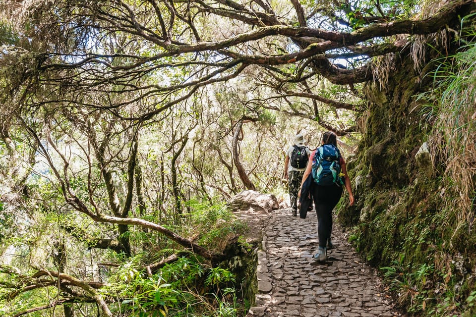 Madeira: Enjoy a Guided Levada Walk in the Rabaçal Valley | GetYourGuide