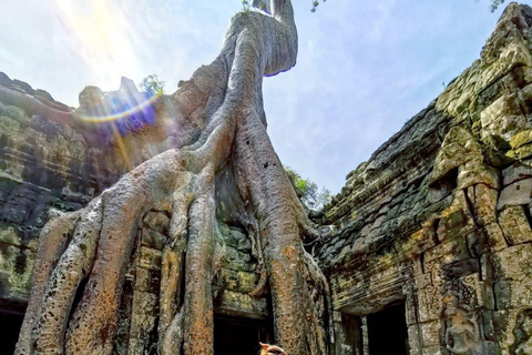 Siem Reap: Angkor 1 day guided tour in Spanish with sunriseOption 2: Private tour 1 day in Spanish with sunrise