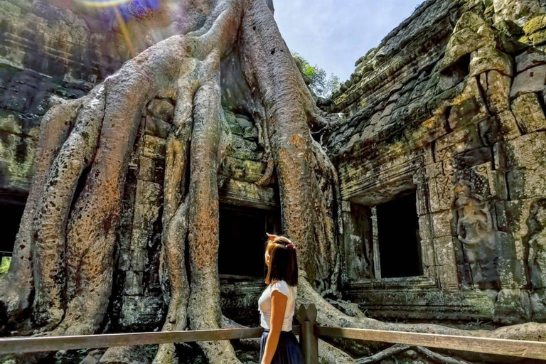 Siem Reap: Angkor 1 day guided tour in Spanish with sunriseOption 2: Private tour 1 day in Spanish with sunrise