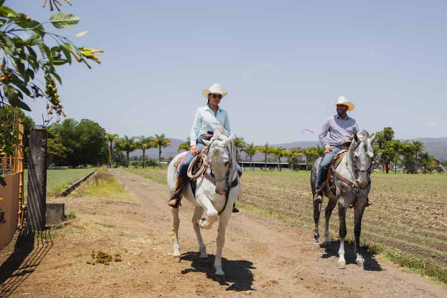 Charlotte: Ausritt durch Farmen und Wälder. Foto: GetYourGuide
