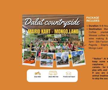 Dalat: Mario kart - Mongo Land - Countryside Tour