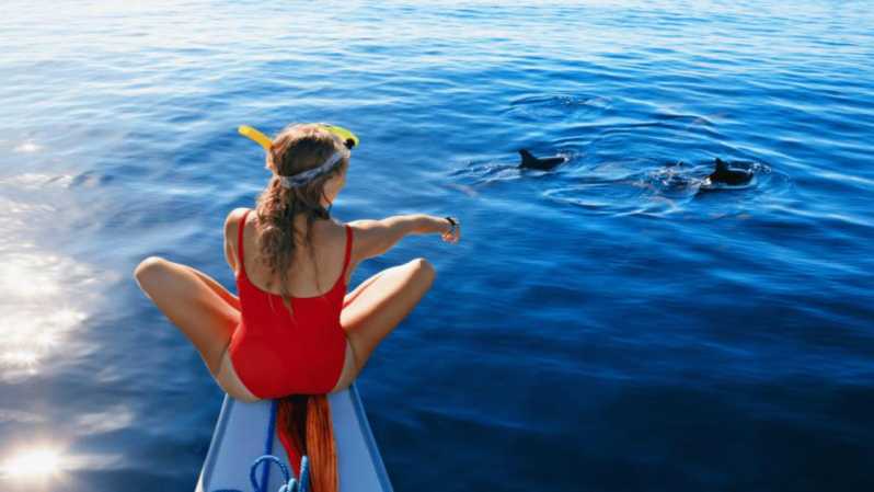 Откройте для себя Маврикий: наблюдение за дельфинами, подводное плавание, обед-барбекю