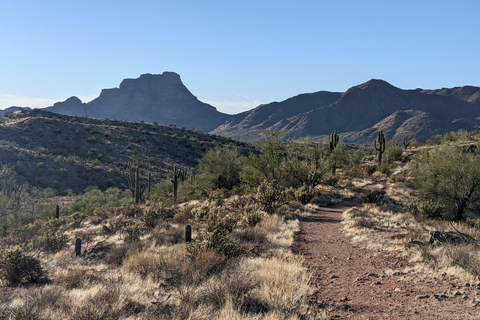Mesa: Copper Mile Desert Hike