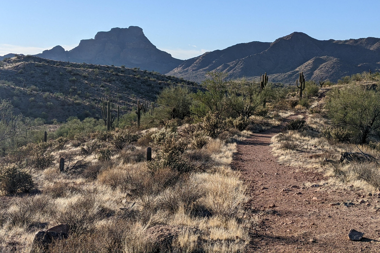 Mesa: Copper Mile Desert Hike